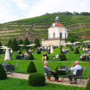 Виноделие и вина Германии. Саксония - экскурсия AndyGo